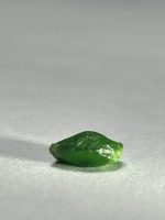راف گارنت