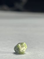 راف دمانتوئید