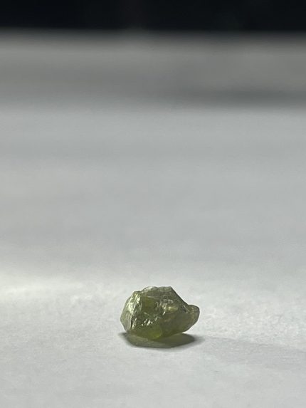 راف دمانتوئید