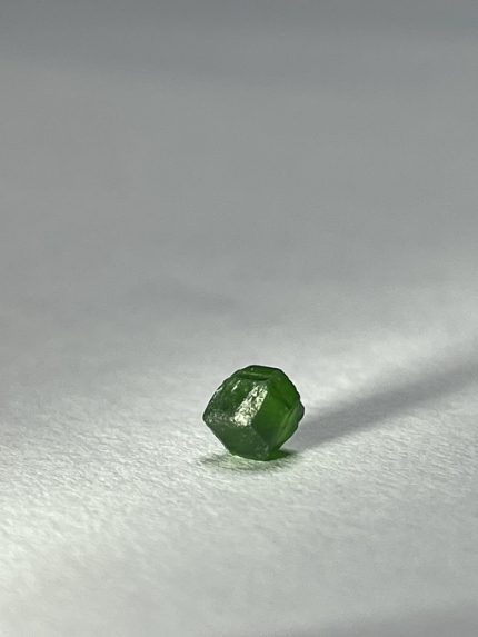راف دمانتوئید