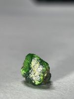 راف کارنت