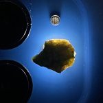 راف جواهری دمانتوئید k270