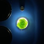 راف جواهری دمانتوئید k283