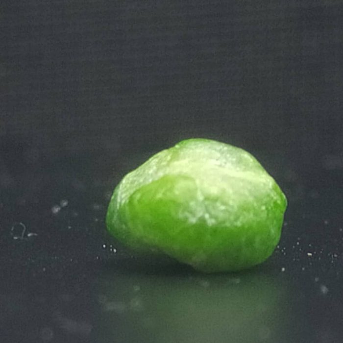 راف جواهری دمانتوئید k576