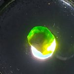 راف جواهری دمانتوئید k818