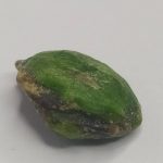 راف جواهری دمانتوئید k758