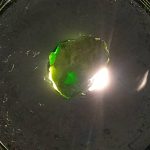 راف جواهری دمانتوئید k732