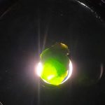 راف جواهری دمانتوئید k842