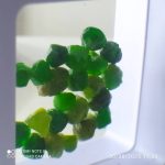 بارخونه راف جواهری دمانتوئید BR3