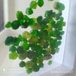 بارخونه راف جواهری دمانتوئید BR8