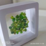 بارخونه راف جواهری دمانتوئید BR2