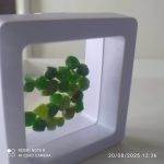 بارخونه راف جواهری دمانتوئید BR3