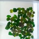 بارخونه راف جواهری دمانتوئید BR7