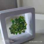 بارخونه راف جواهری دمانتوئید BR2