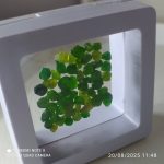 بارخونه راف جواهری دمانتوئید BR1