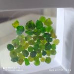 بارخونه راف جواهری دمانتوئید BR2