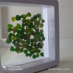 بارخونه راف جواهری دمانتوئید BR7