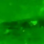 جواهر دمانتوئید D167