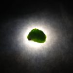 راف جواهری دمانتوئید k1005