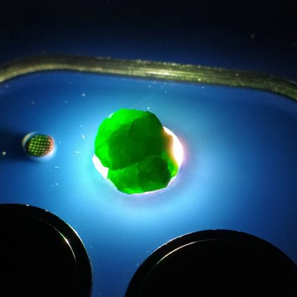 راف جواهری دمانتوئید k1001